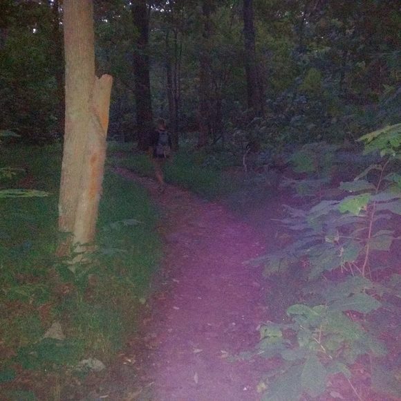 Meet your Posher, Dustin - Picture 1 of 1